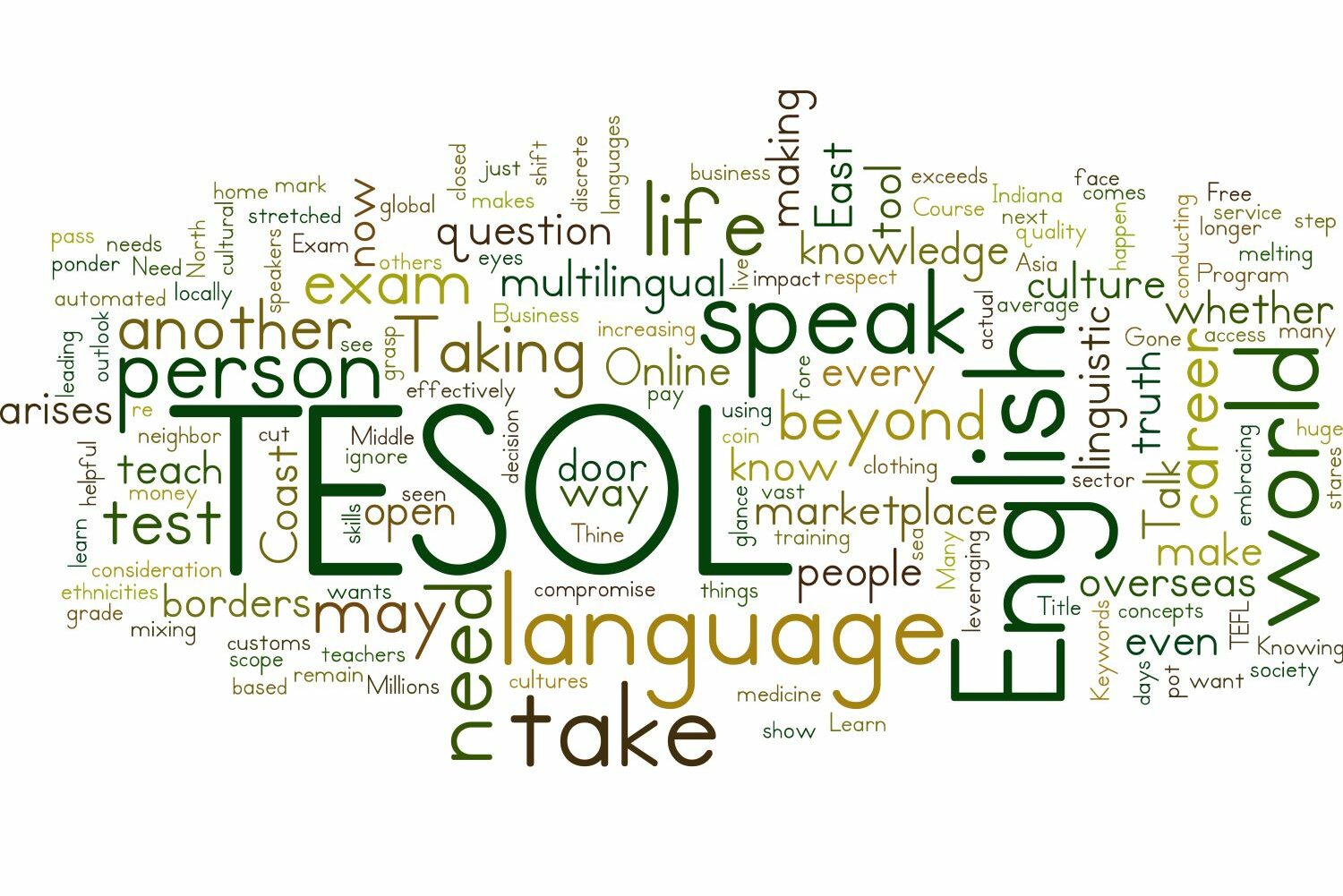 MSc Teaching English to Speakers of Other Languages (TESOL) (Online)